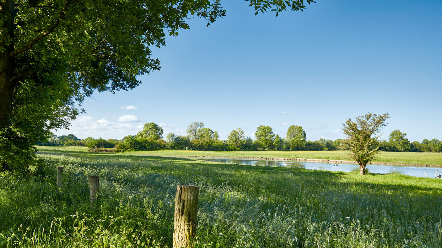 Rheinaue Walsum mit gruener Wiese und blauem Himmel